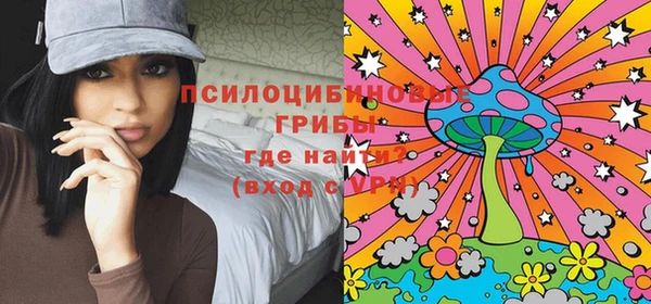apvp Мегион