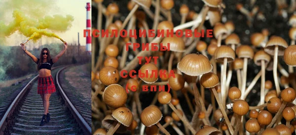 apvp Мегион
