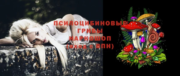 прущая мука Медвежьегорск