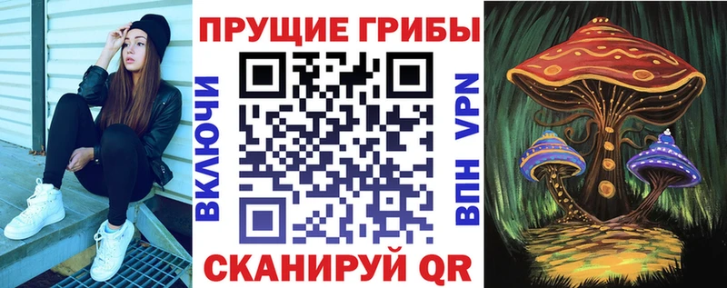 Купить  Гудермес  Галлюциногенные грибы мухоморы 